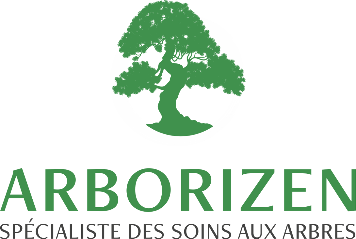 Arborizen spécialiste des soins aux arbres